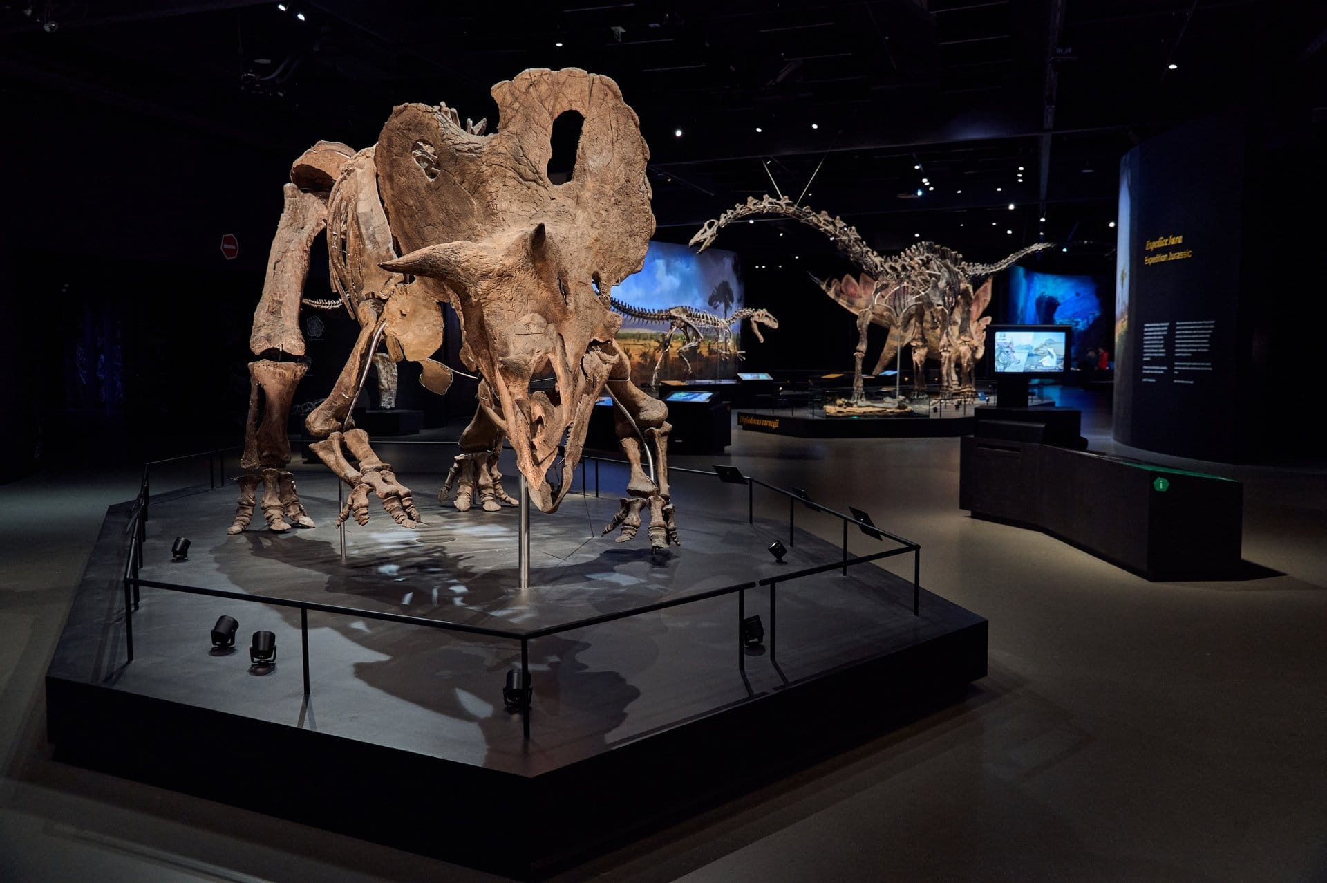 Dinosauria Museum Prague - Dinosauria Private Tour