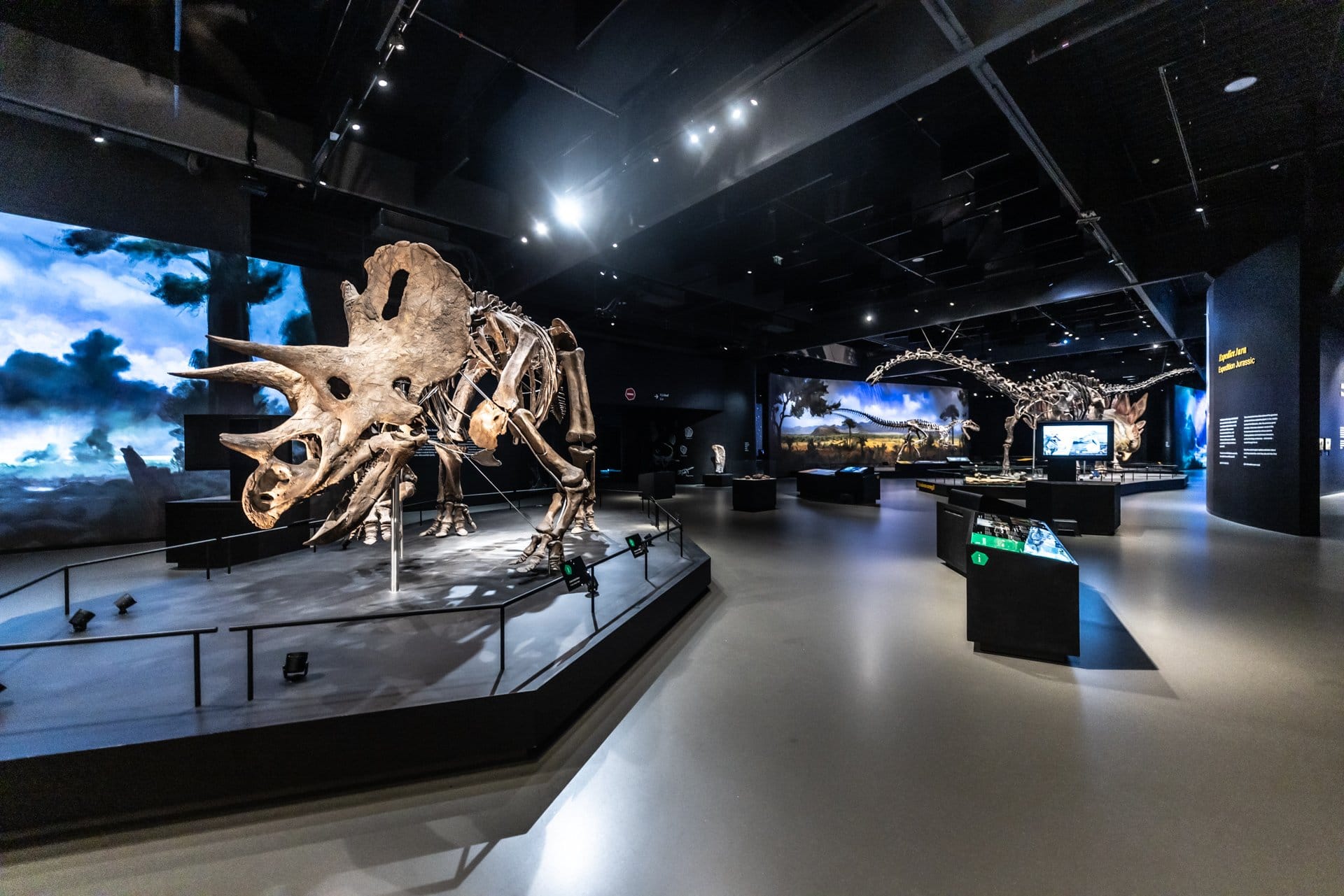 Dinosauria Museum Prague - Firemní akce