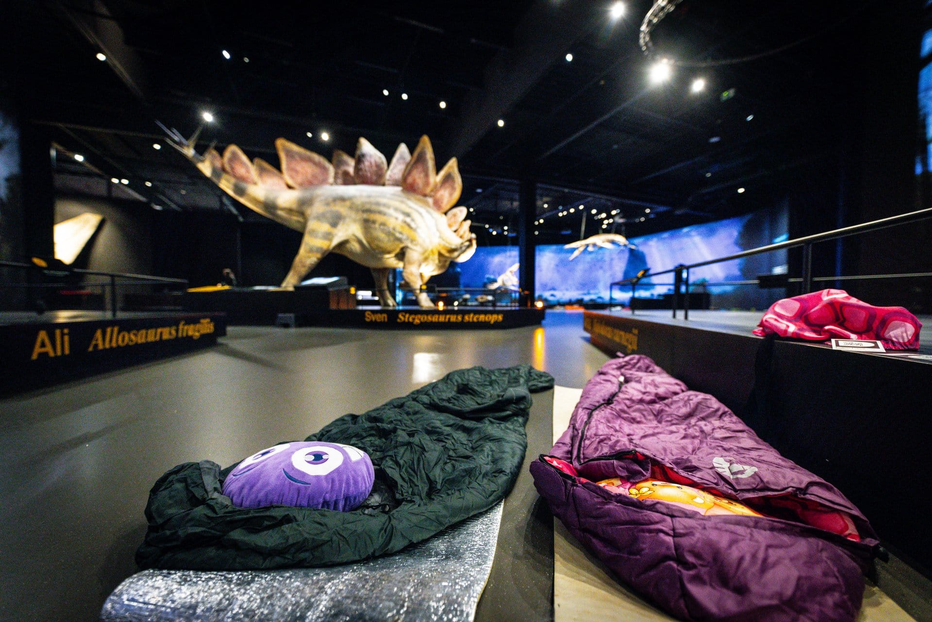 Dinosauria Museum Prague - Noc v muzeu