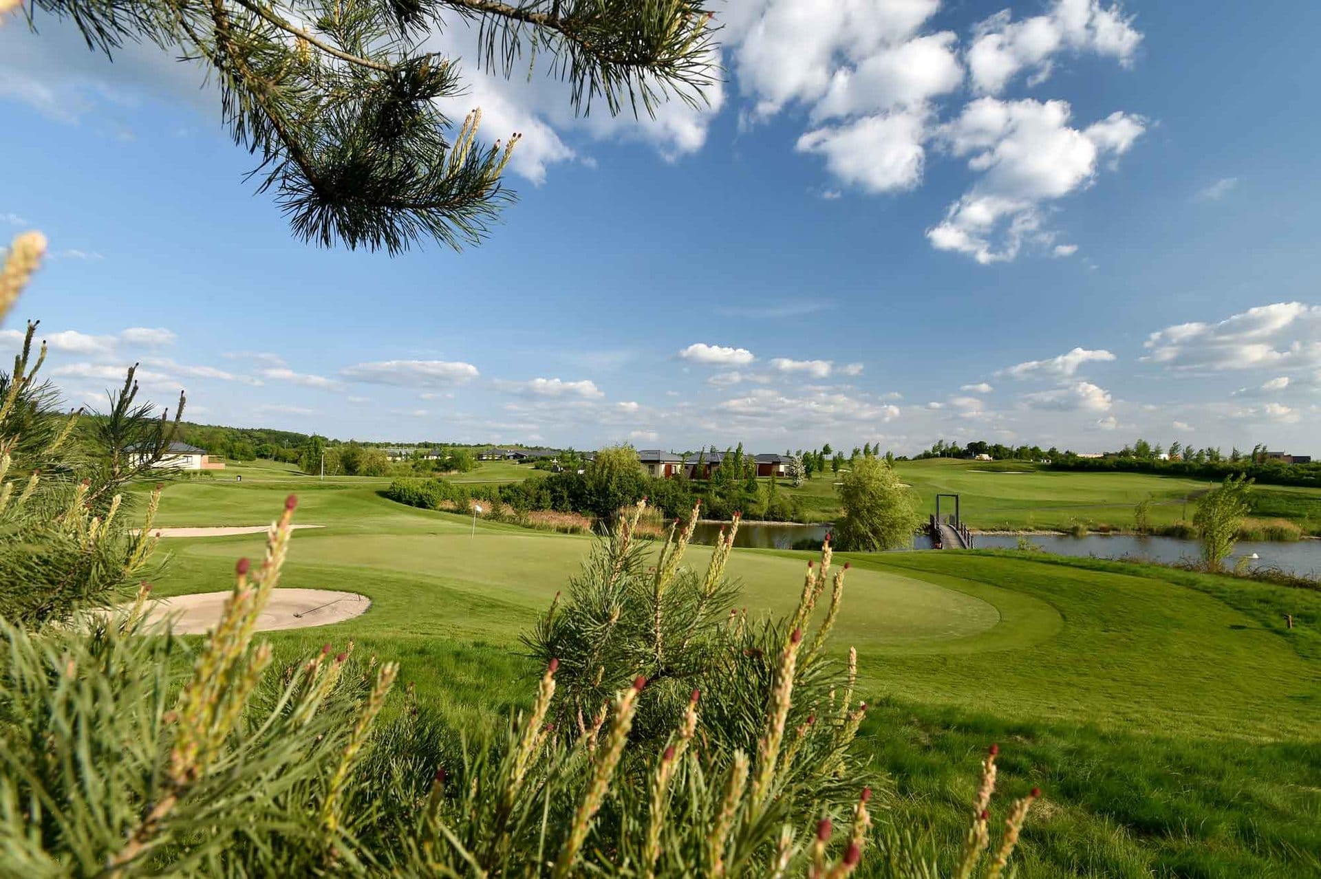 Golf Resort Black Bridge